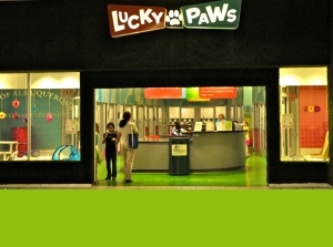 Lucky Paws Adoption Center — City of 