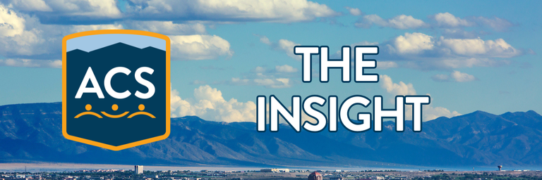 ACS Newsletter Header reading "ACS: The Insight"