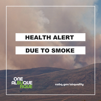 Health Alert Issued on May 31, 2024 Due To Smoke