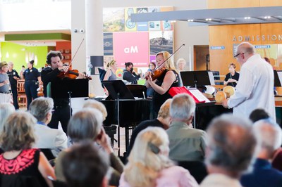 Concert Series: Chatter at the Museum