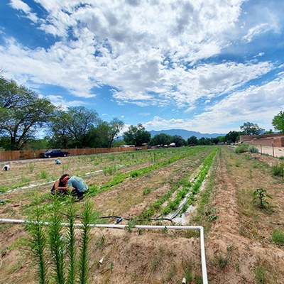 Second Saturday: Agriculture and Commerce in Spanish and Mexican Era New Mexico