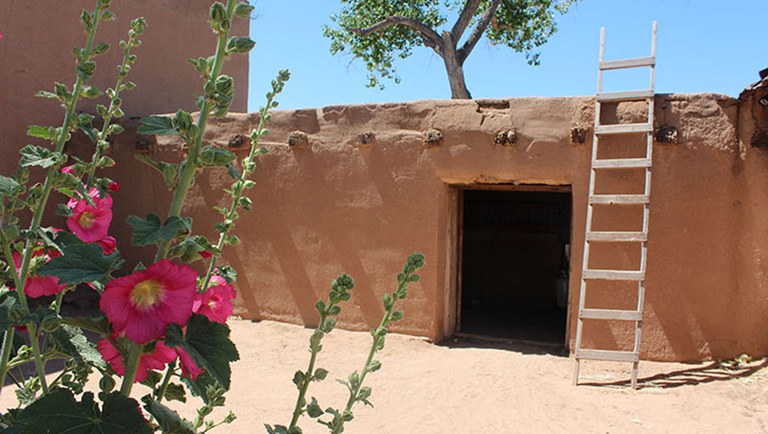 Color photo of a brown adobe house with a wooden ladder leaning against it to the right of an open door and a several stems of bright pink hollyhock in early bloom in the left foreground. 