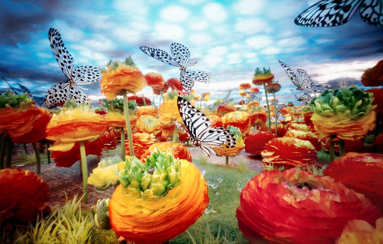 A 3D artwork featuring flower and butterfly sculptures.