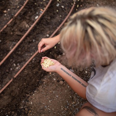 A person crouches down in front of a prepped garden area and places a seed.