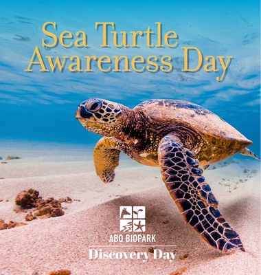 Sea Turtle Awareness Day