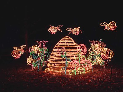 A bee and beehive light sculpture at the ABQ BioPark Botanic Garden during River of Lights.