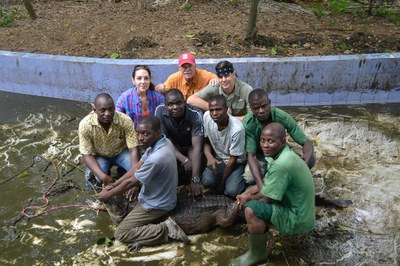 caption:Successful capture of a cataphractus