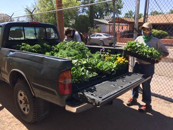 Two people unload trays of plants from the back of a truck.