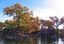 Fall in the Japanese Garden, Dreamstime photo