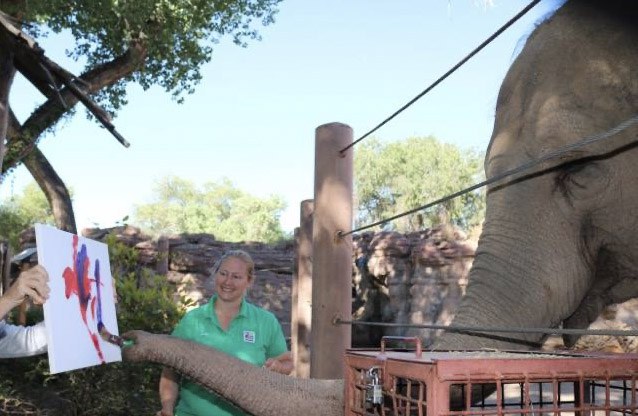 An elephant painting with its trunk.