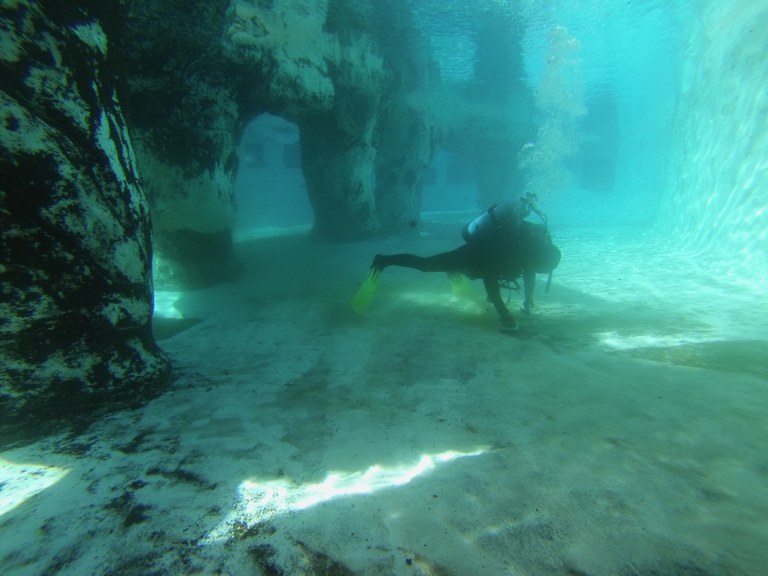 Diver scrubbing seals