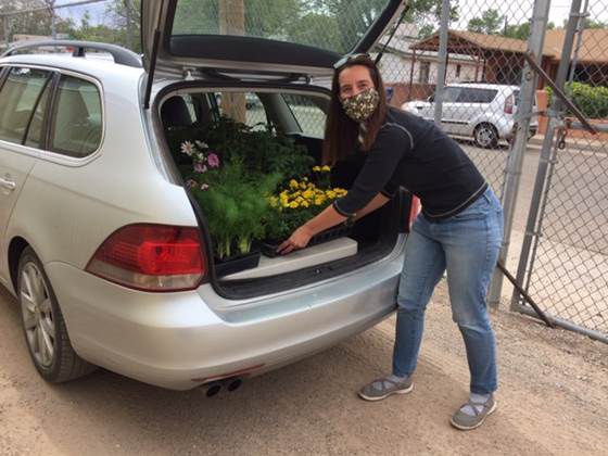 American Friends Service Committee individual picking up plants at botanic garden.