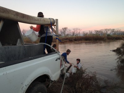 About 89,000 fish released in November