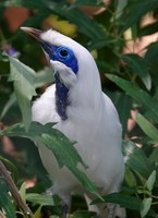 Job Opportunity at the ABQ BioPark: Assistant Zookeeper II (Birds)