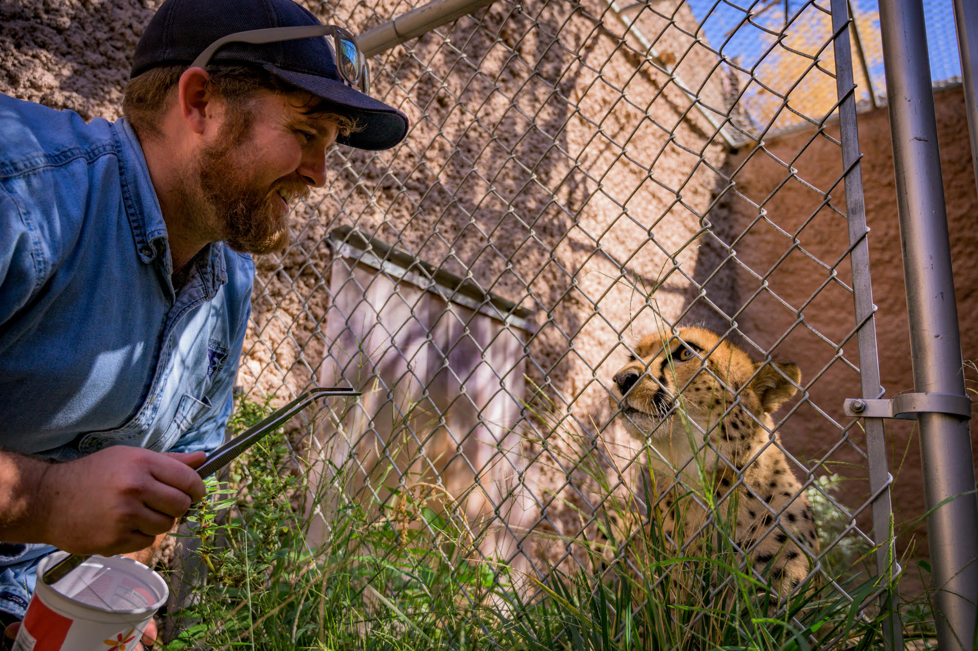 ABQ BioPark Staff Contribute to Important Animal Research — City of ...