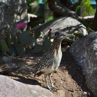 Job Opportunity at the ABQ BioPark:  Warehouse Worker