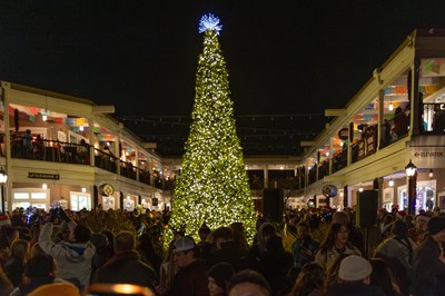 A large crowd observing a large, lit Christmas tree in Albuquerque's Old Town.