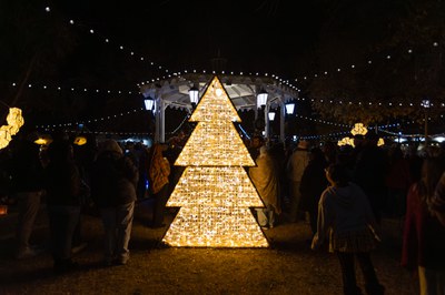 A two dimensional Christmas tree made from white lights in front of a gazebo surrounded by people.”