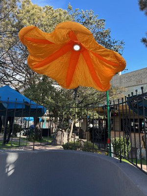 Installation of a lighted, orange flower that "blooms" when there is motion.