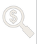 Magnifying Glass Dollar Sign Icon with Divider Line