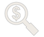 Magnifying Glass Dollar Sign Icon