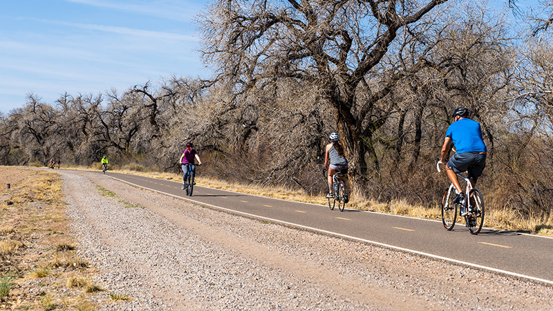 Paved Bike Path Bosque 2 Section Highlight Block