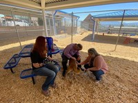 City Modernizes Westside Animal Shelter