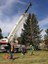 Moving the Blue Spruce @ Academy Hills Park