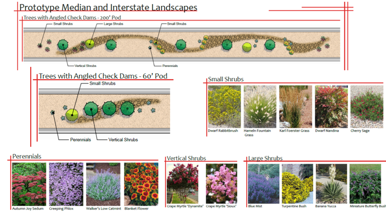 Schematic depicting improvements planned for Coors Bypass Median between Ellison Drive and 7 Bar Loop. Native perennial flowers, shrubs, trees with naturally occuring crusher fines