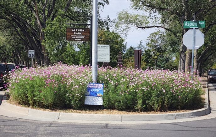 photo of the Altura Park welcome sign and wild flowers 