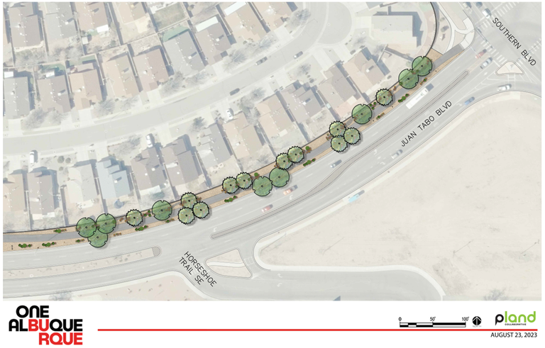 Schematic Plan for the pedestrian walkway improvements to Juan Tabo. Indicates placement of trees and hardscape