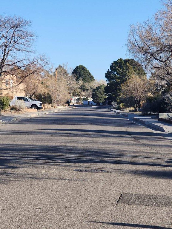 McDuffie-Twin Parks Traffic Calming Measures PHOTO