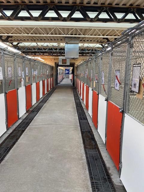 Image of newly installed kennels at Westside Animal Shelter