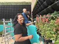 City Parking Garage Gets New Life with Plant Wall