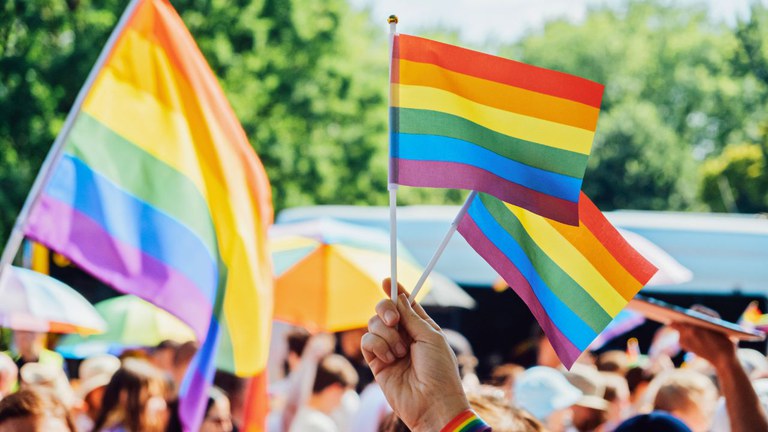 Hand-held pride flags waving in the wind.