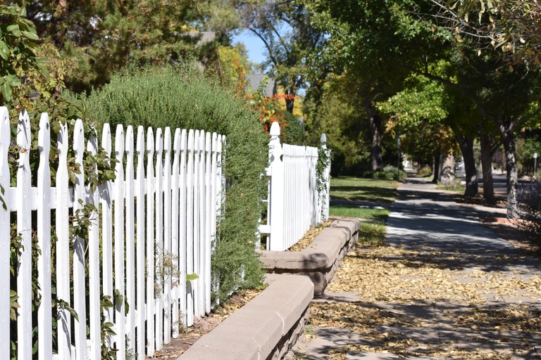 A white picket fence and sidewalk lined with trees in a District 2 neighborhood.