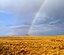 Petroglyph rainbow