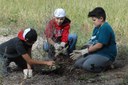 Tree Planting Event Tile