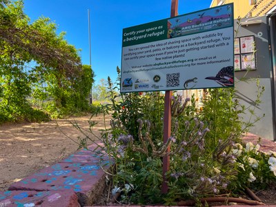 A sign with information about making your backyard a refuge surrounded by local plants. Info at abqBackyardRefuge.org or email abqBackyareRefuge@friendsofvalledeoro.org.