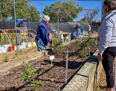 Three volunteers working outside at the greenhouse.