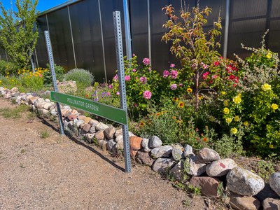 Local plants in a garden labeled Pollinator Garden.