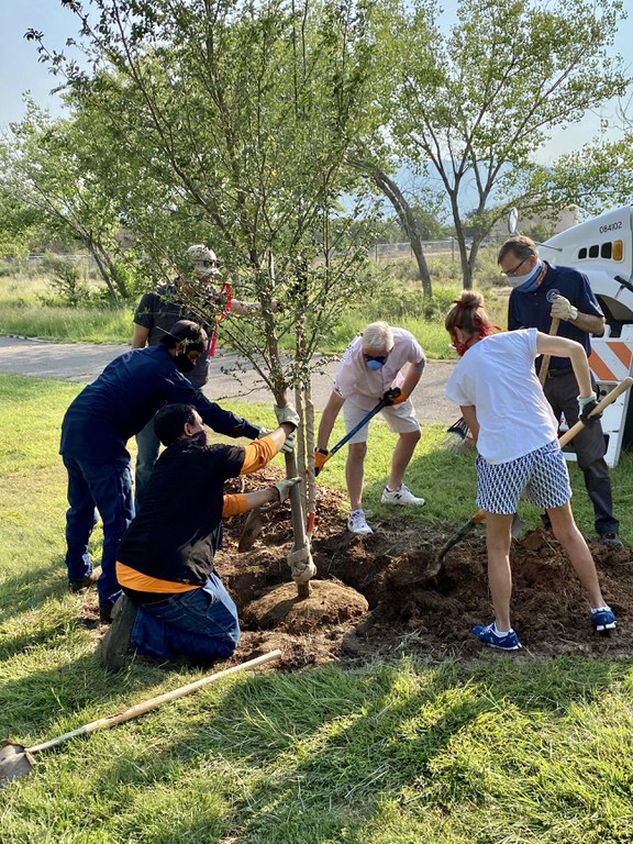 A group of people planting a tree in a park.