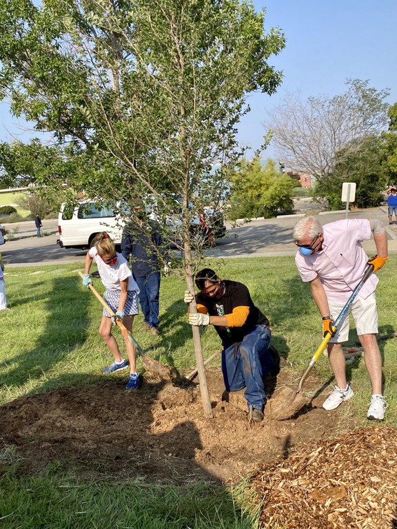 A group of people planting a tree in a park.