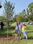 Dakota Tree Project at Phil Chacon Park 4