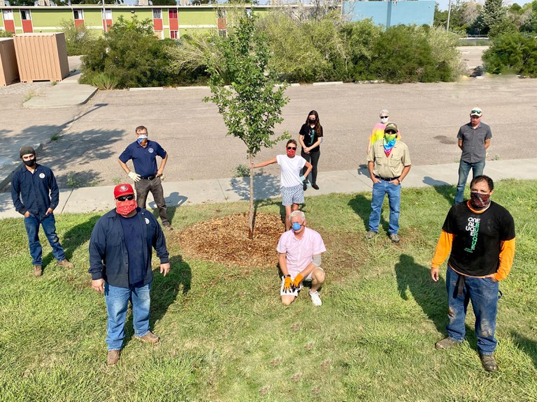 A group of people standing around a small tree they just planted in a park.