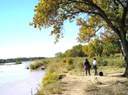 River of dia del rio