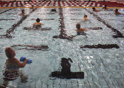 Seniors doing exercise in a pool.