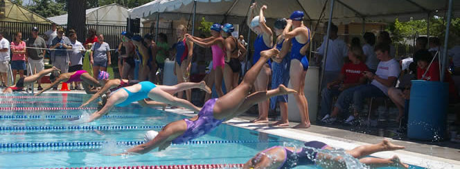 People diving into an outddoor pool with lane dividers.