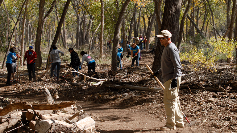 Parks Volunteer Section Block