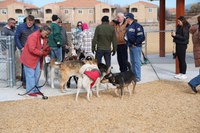 New Dog Park Opened At Vista Del Norte Park — City Of Albuquerque